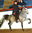 Victory Dance HA in foal to Baske Afire for 2007